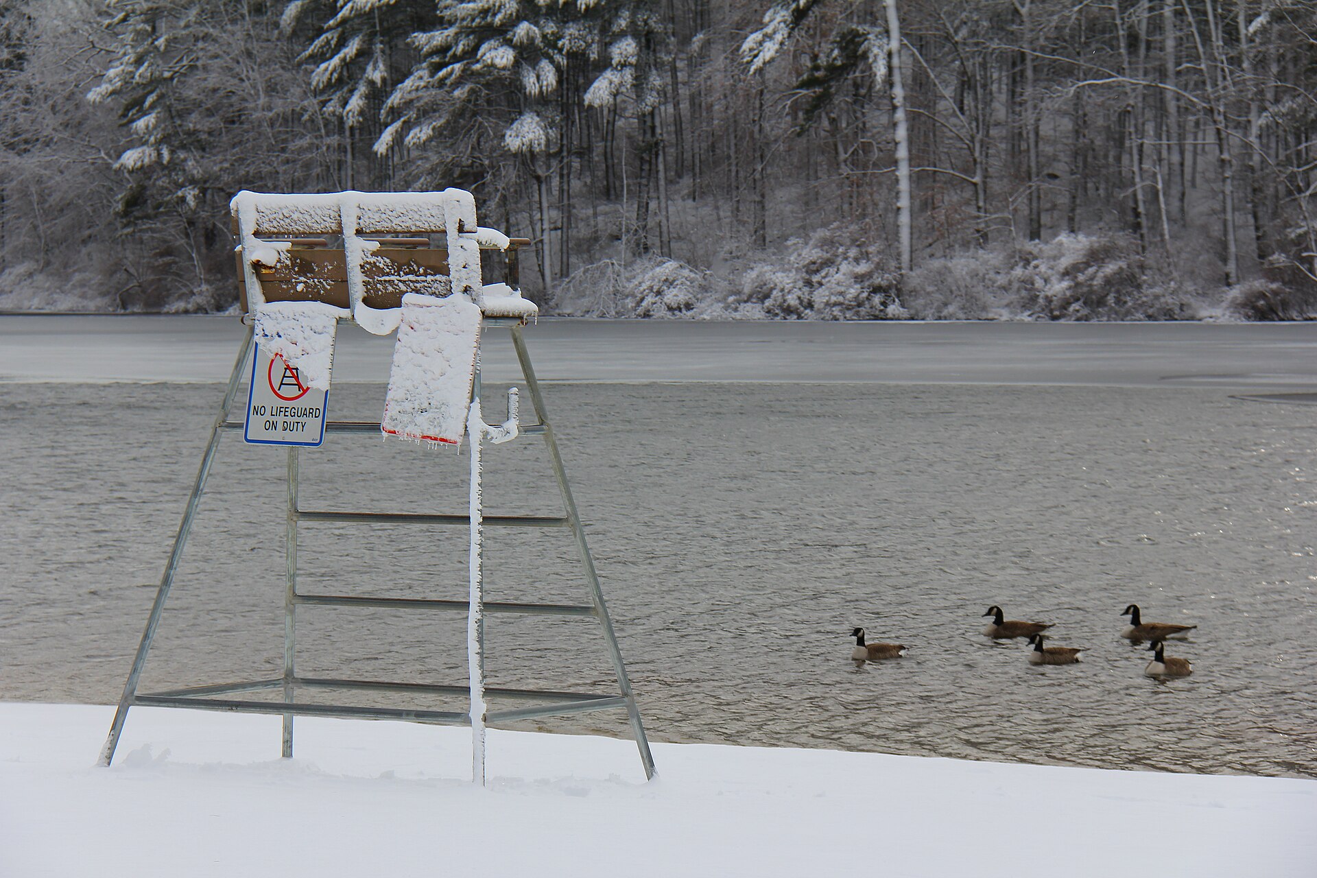 Houghton's Pond at Blue Hills Reservation in Milton, Massachusetts