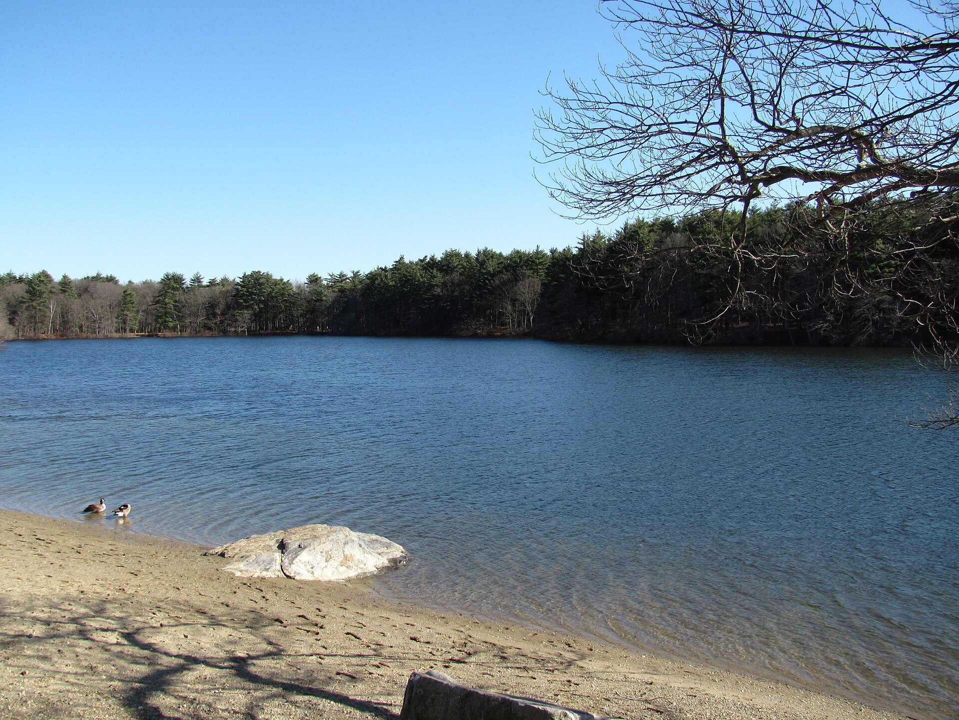 Houghton's Pond in Milton, Massachusetts, part of the Blue Hills Reservation